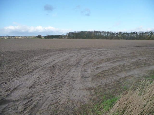 Farmland south of East Lilling Farm
