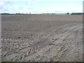 Farmland north-west of Gennell Lane