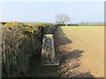 Field and hedge side view at Blaen Sylltyn Triangulation Pillar