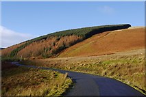 NT2819 : South side of Turner Cleuch Law by Richard Webb