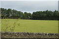 Farmland, Dore Moor