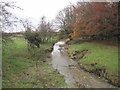 River Lyne near Tritlington