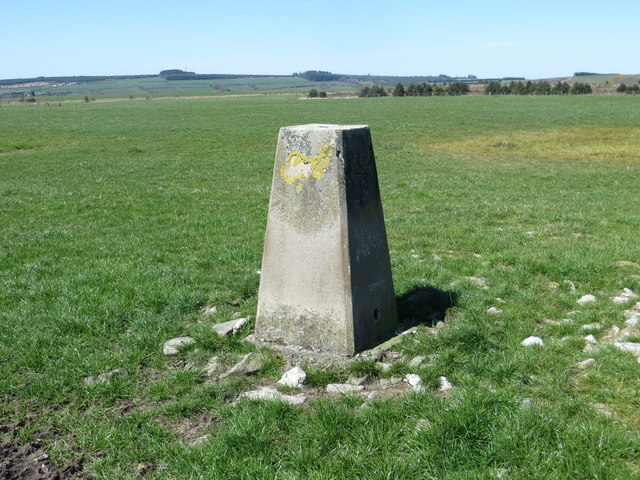 Field view from Blaen-cribor Triangulation Pillar