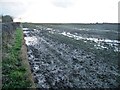 SE6864 : Waterlogged farmland alongside Moor Lane by Christine Johnstone