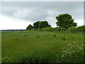 Field next to Wold View House