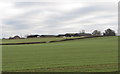 Fields near Longcot