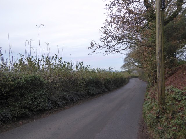 Totnes Road on Beacon Hill
