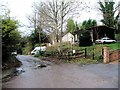 Rhododendron Avenue, Culverstone Green