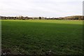 Farmland near Home Farm, Bagendon