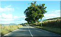 NH5845 : A862 east of Rhinduie House by Peter Bond