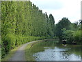 Tree lined towpath of the Grand Union Canal