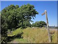 Bridleway signpost on Lyme Hill