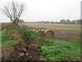 Fields north of Headwell Lane