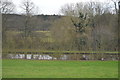 Trent & Mersey Canal