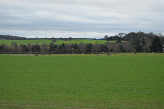 Large pasture field