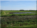 TL4786 : Ouse Washes from Grose Hide by Hugh Venables