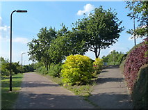 SP8537 : Cycleway and footpath in Oldbrook, Milton Keynes by Mat Fascione
