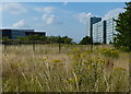 Waste ground in Central Milton Keynes