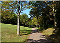 Path and cycle track in Central Milton Keynes