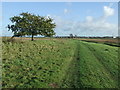 Green Track And Footpath