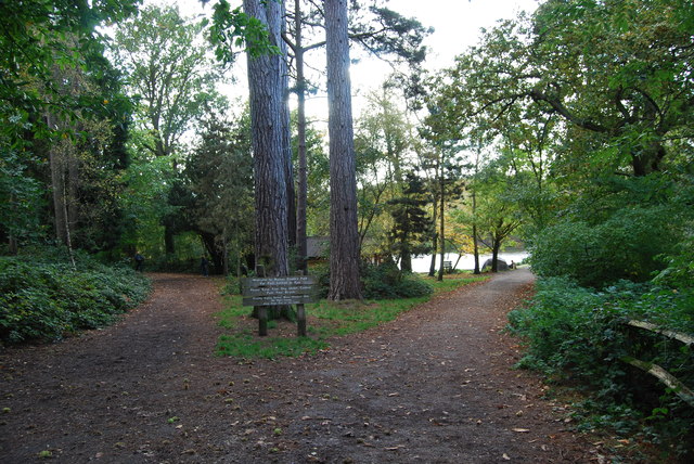 Buchan Country Park (2)