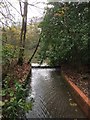 Overflow at Lymm Dam