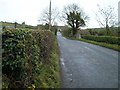 View north along Derryboye Road