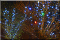 Crediton : Town Square Lights