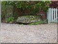 TM3556 : The Blaxhall Stone by Chris Holifield