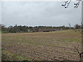 View across the fields to Blaxhall Hall