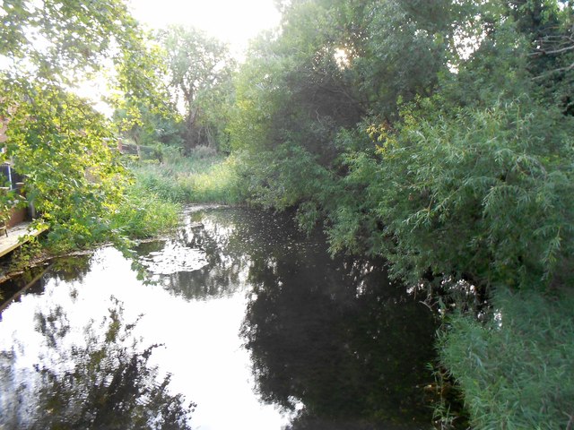 River Ash in Littleton (3)