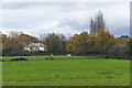 Farmland off Warbury Lane