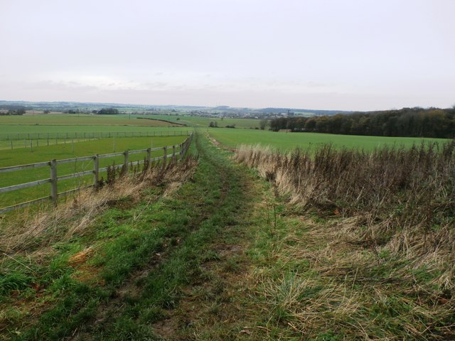 Fields and Bridleway near Upton Beacon