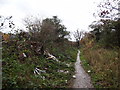 SO8857 : Fly tipping (not allowed) at Offerton Lane by Ian Paterson