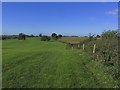 On the S Cheshire Way, W of Lea Hall, Lea