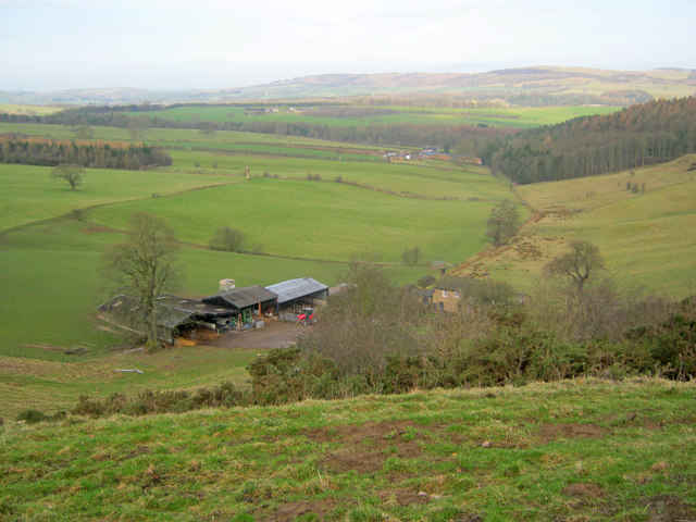 Handley Bottom Farm