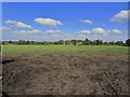 Pasture land N of Dayhouse Green Farm, Smallwood