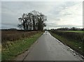 Walls Lane -  looking eastwards