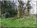 Triangulation pillar by Hickingwood Lane