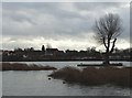 A view of Harlesthorpe Dam