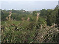 View towards railway viaduct over Dane in Shaw Brook near Congleton