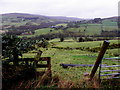 Curraghinalt Townland