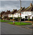 White houses, Station Road, Albrighton