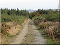 SJ0776 : Forest track on eastern slope of Mynydd y Cwm near Rhuallt by Colin Park