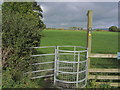 Kissing gate at junction Shellow Lane & Pexall Rd near Gawsworth