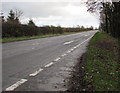 East along the Albrighton  Bypass