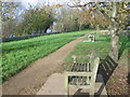 The Thames Path at Barnes