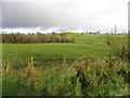 Ballyreagh Townland