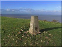ST2859 : Brean Down - the trig point by Colin Park