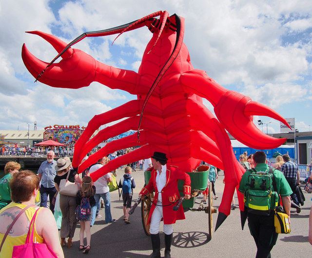 Giant Lobster, Belfast